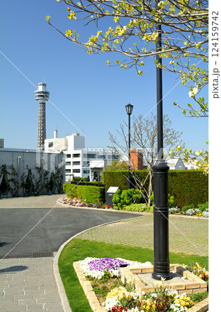 横浜・山手の桜 横浜・山手の桜 124159742