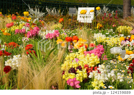 横浜・港の見える丘公園 124159889