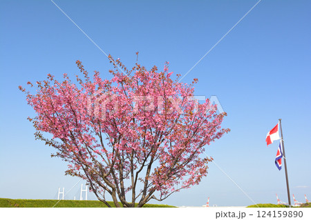 横浜・港の見える丘公園 横浜・港の見える丘公園 124159890