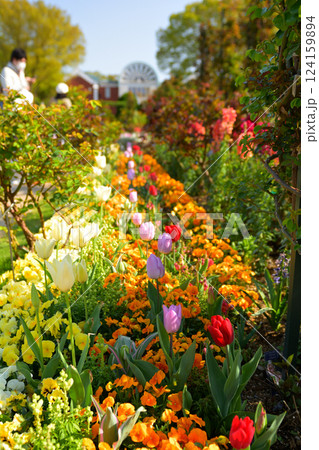 横浜・港の見える丘公園 124159894