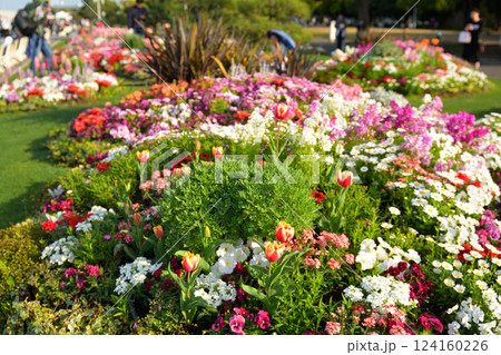 横浜・山下公園 124160226