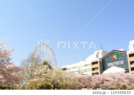横浜 124160810
