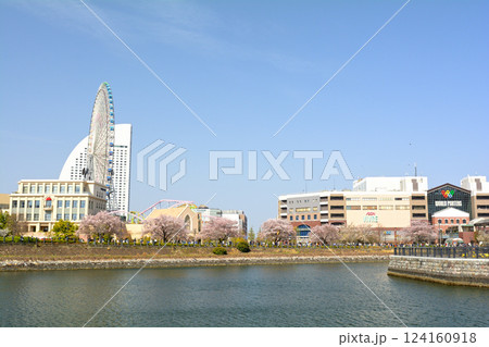 横浜 124160918