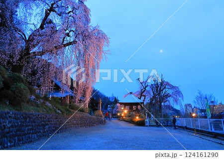 青梅市 梅岩寺の夜桜 124161290