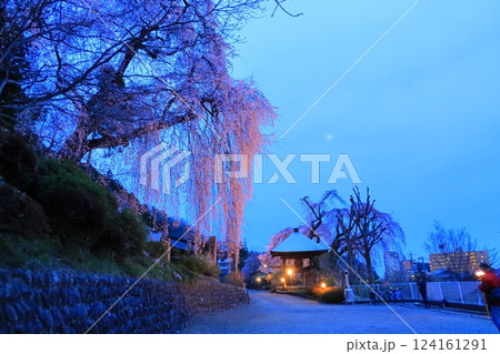 青梅市 梅岩寺の夜桜 青梅市 梅岩寺の夜桜 124161291