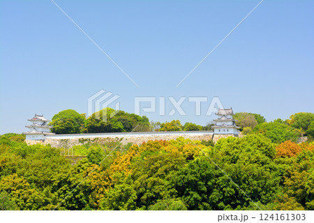 日本100名城・明石城 日本100名城・明石城 124161303