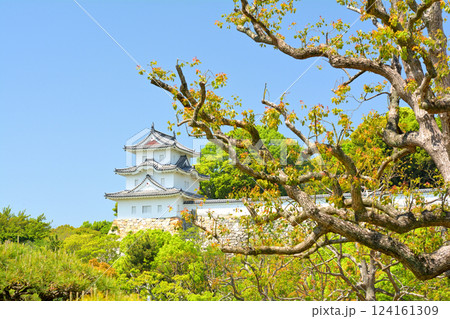 日本100名城・明石城 日本100名城・明石城 124161309