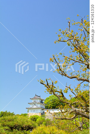 日本100名城・明石城 124161310