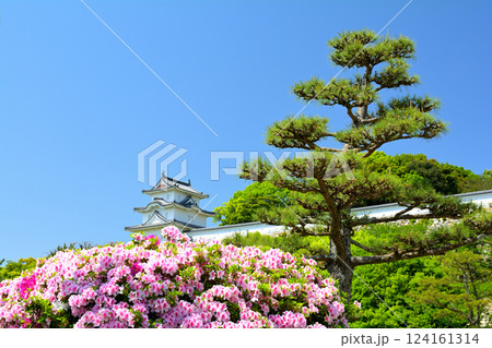 日本100名城・明石城 日本100名城・明石城 124161314