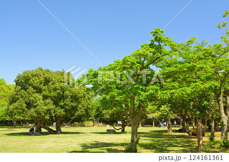 日本100名城・明石城 124161361