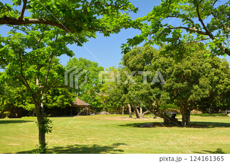 日本100名城・明石城 124161365