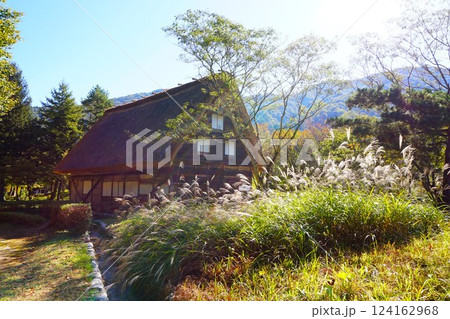 白川郷 合掌造り 民家園 野外博物館 ススキ 白川郷 合掌造り 民家園 野外博物館 ススキ 124162968