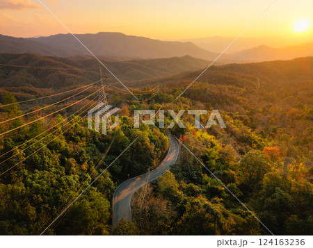 Aerial view of a road through a green and yellow deciduous forest in summer in Asia. 124163236