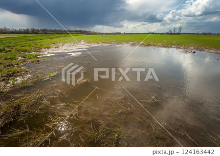 Water on the green field and rain in the sky 124163442