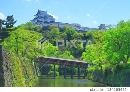 新緑の和歌山城（和歌山県和歌山市）御橋廊下 124163485