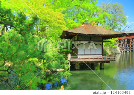 新緑の和歌山城（和歌山県和歌山市）西の丸庭園 124163492