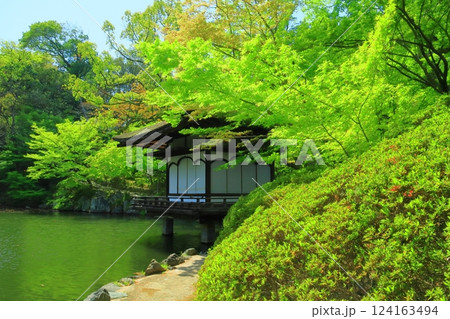 新緑の和歌山城(和歌山県和歌山市)西の丸庭園 新緑の和歌山城(和歌山県和歌山市)西の丸庭園 124163494