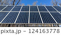 In a forested location, solar panels stand tall against a clear blue sky, capturing sunlight for energy production. The scene highlights clean technology and environmental sustainability 124163778