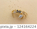 砂浜を歩く白いカニさん 124164224