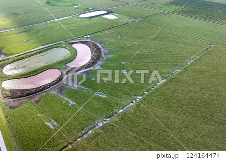 Drinking ponds at free range farm. Water reservoirs for cows grazing on green farm pasture. Feeding of cattle on farmland grassland 124164474