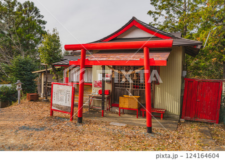 磐田市にある獅子ヶ鼻公園の森の中にある神社の赤い鳥居(静岡県) 124164604