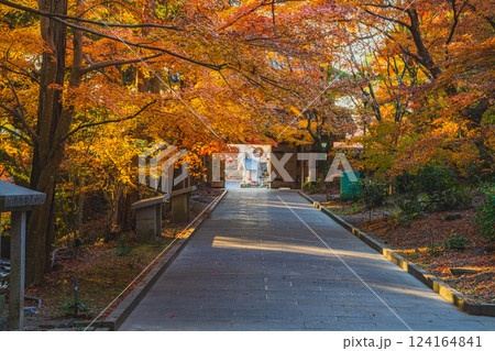 袋井市にある朝の参道から見た紅葉に包まれた油山寺の山門の風景(静岡県) 袋井市にある朝の参道から見た紅葉に包まれた油山寺の山門の風景(静岡県) 124164841