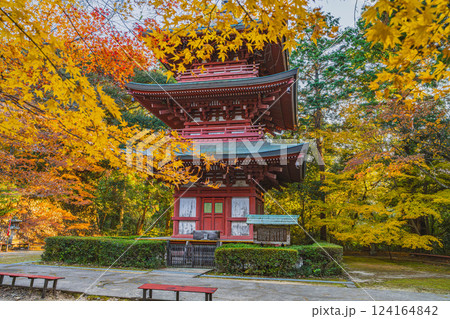 袋井市にある朝の紅葉に包まれた油山寺の三重塔の風景(静岡県) 袋井市にある朝の紅葉に包まれた油山寺の三重塔の風景(静岡県) 124164842