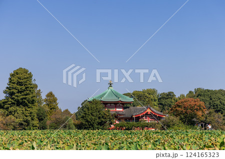 The Buddhist Benten-do Temple in Tokyo stands on an island in Shinobazu Pond 124165323