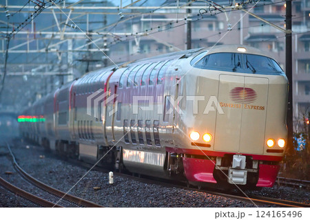東海道本線　真鶴　JR東海　285系　I5編成（大垣）　サンライズ出雲　サンライズ瀬戸 124165496