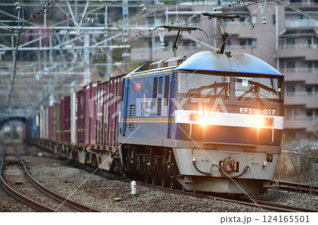 東海道本線　真鶴　JR貨物　EF210-317（吹田） 124165501