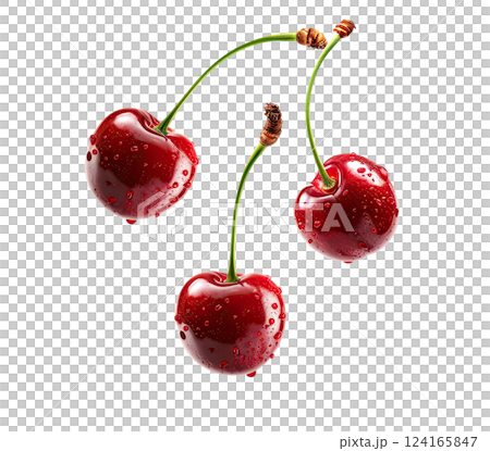 Flying fresh red cherries on white background. falling fresh cherries with stems and leaves, cherries boarder. Cherry juice product ad. cut-out, clipping path, transparent Flying fresh red cherries on white background. falling fresh cherries with stems and leaves, cherries boarder. Cherry juice product ad. cut-out, clipping path, transparent 124165847