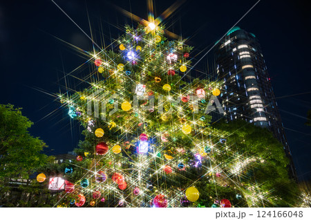 クリスマスツリーを見上げる クリスマスツリーを見上げる 124166048