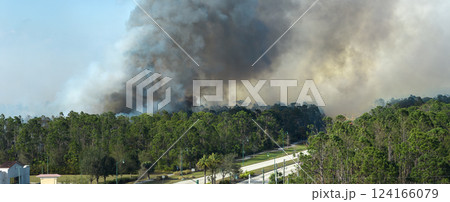Aerial view of large wildfire burning severely in Florida jungle woods. Hot flames with dense smoke in tropical forest 124166079