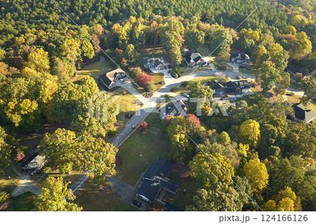 Aerial view of classical american homes in South Carolina residential area. New family houses as example of real estate development in USA suburbs 124166126