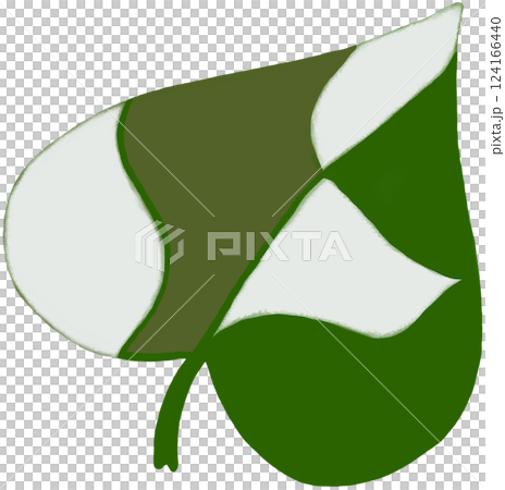 Epipremnum Aureum plant leaves Epipremnum Aureum plant leaves 124166440