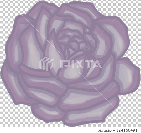 Beautiful blossom purple rose Beautiful blossom purple rose 124166491