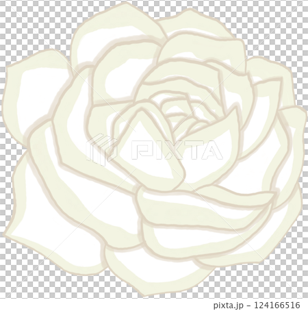 Beautiful blossom of orange rose Beautiful blossom of orange rose 124166516