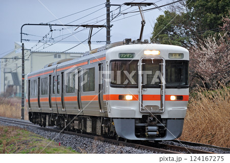 御殿場線 上大井-下曽我 JR東海 313系 V12編成(静岡) 御殿場線 上大井-下曽我 JR東海 313系 V12編成(静岡) 124167275