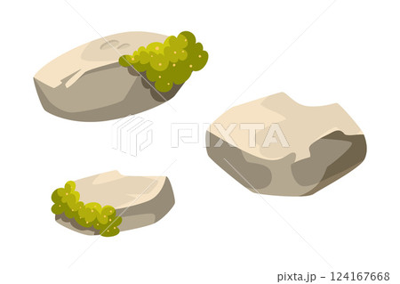 Stone with Moss as Forest and Woodland Object Vector Illustration 124167668