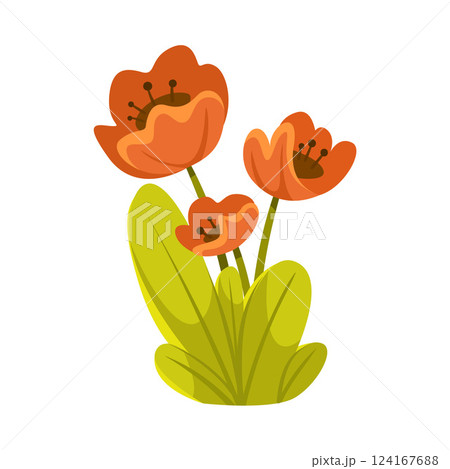 Flower with Stem and Grass as Forest and Woodland Element Vector Illustration 124167688