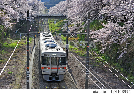御殿場線　山北　JR東海　313系　W9編成（静岡） 124168994