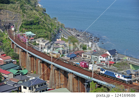 東海道本線　早川－根府川　JR貨物　EF64-1008（愛知） 124169686