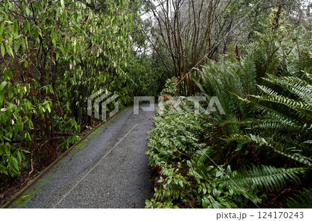path in the park between green plants 124170243