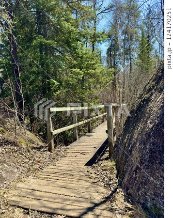 classic bridge over a ravine in the forest 124170251