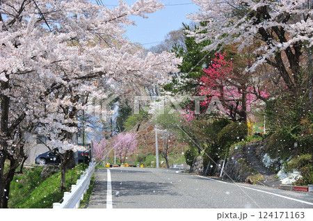 上越線 上牧-水上 JR東日本 D51-498+12系(高崎) SLみなかみ 上越線 上牧-水上 JR東日本 D51-498+12系(高崎) SLみなかみ 124171163