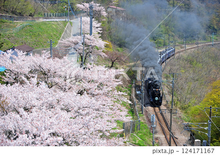 上越線 上牧-水上 JR東日本 D51-498+12系(高崎) SLみなかみ 上越線 上牧-水上 JR東日本 D51-498+12系(高崎) SLみなかみ 124171167