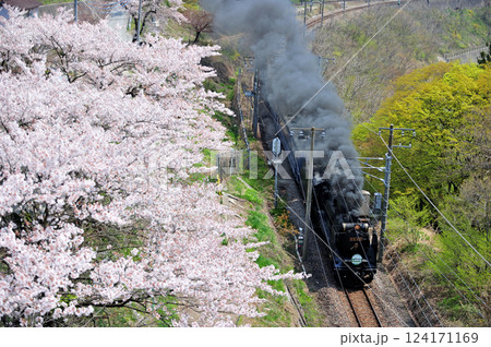 上越線 上牧-水上 JR東日本 D51-498+12系(高崎) SLみなかみ 上越線 上牧-水上 JR東日本 D51-498+12系(高崎) SLみなかみ 124171169