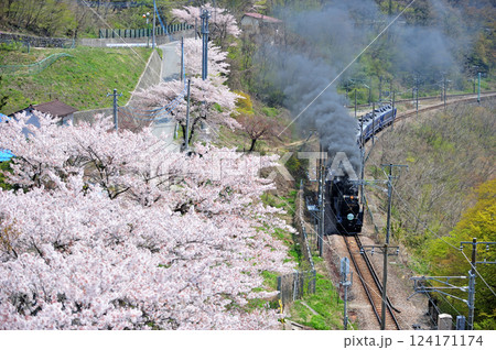 上越線　上牧－水上　JR東日本　D51-498＋12系（高崎）　SLみなかみ 124171174