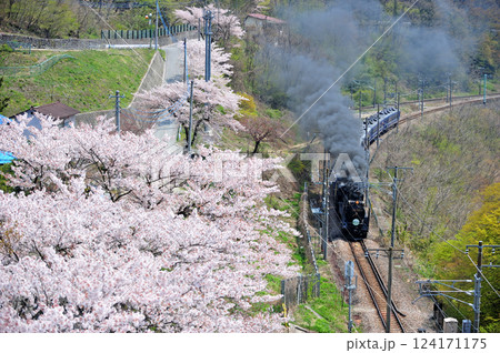 上越線　上牧－水上　JR東日本　D51-498＋12系（高崎）　SLみなかみ 124171175