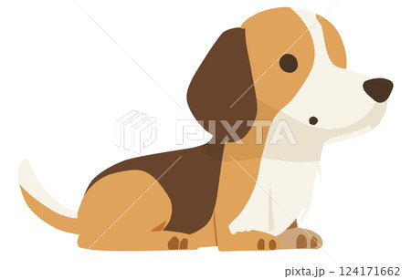 犬 124171662